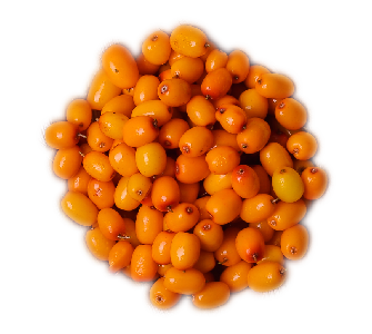 manuka saebuckthorn