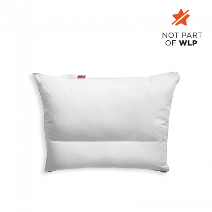 Ergonomic Pillow